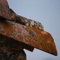 Photo de france - La randonnée des balcons d'Alignan-du-Vent